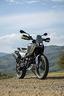 benelli-304-bkx-300cc