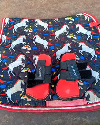 set pony sottosella e stinchiere 