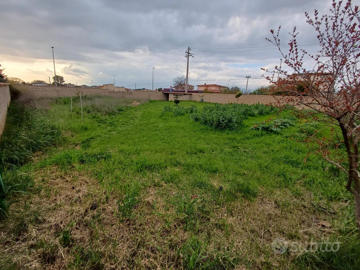 Terreno 1000mq a Tagliatella (RM) - Recintato - Vista 2