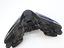 Immagine 7