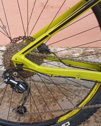 mtb 29 orbea