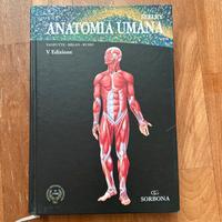 Anatomia umana Seeley