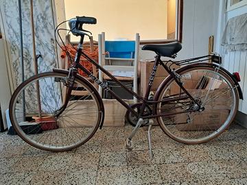 bicicletta da paseggio