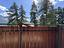Immagine 9