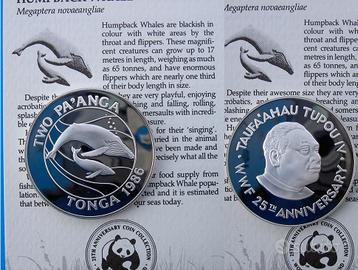 ARGENTO BALENE NATURA SELVAGGIA WWF MARE MAMMIFERI