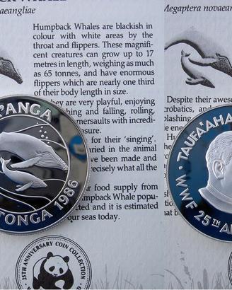 ARGENTO BALENE NATURA SELVAGGIA WWF MARE MAMMIFERI
