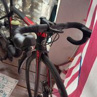 Boci da Corsa Fondriest Dardo