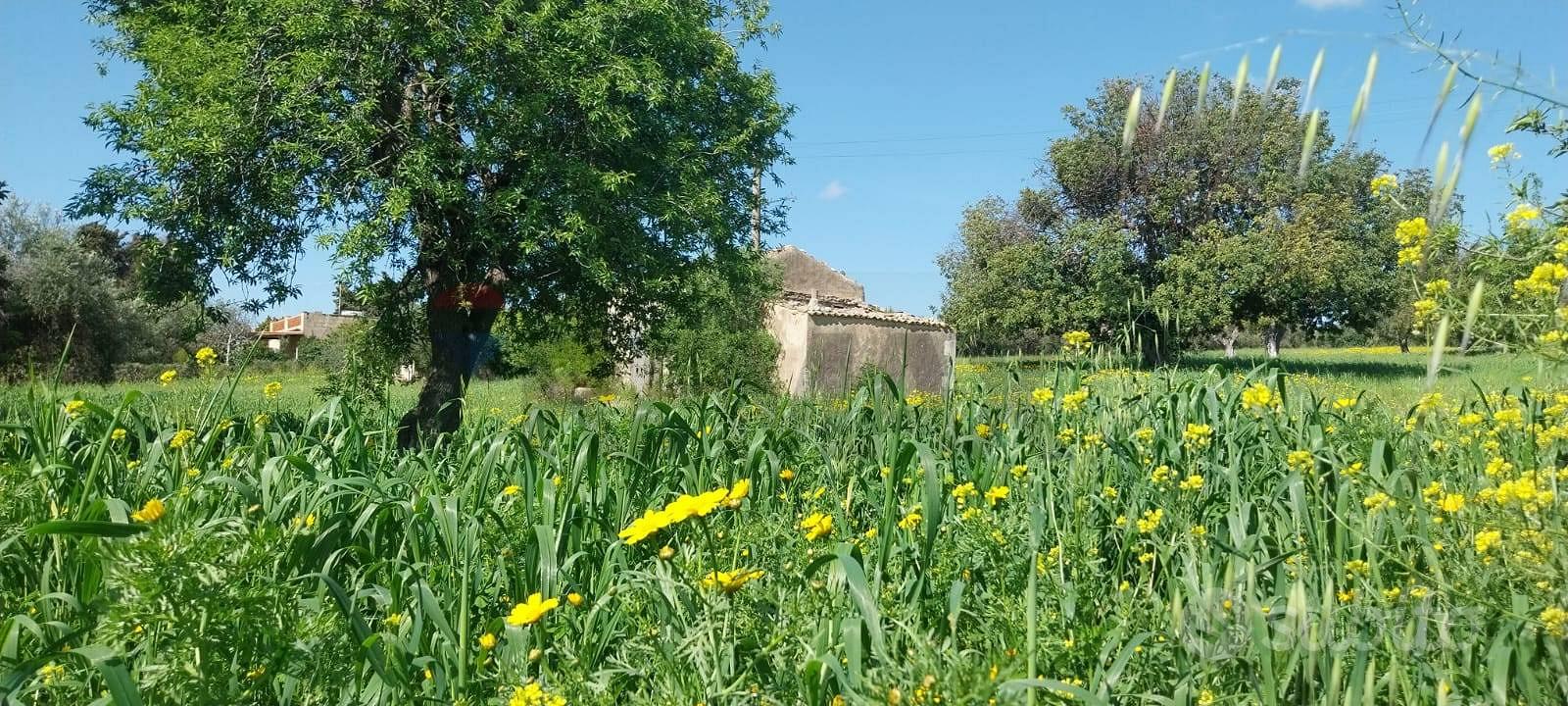 Terreno - Pozzallo - Vista 4