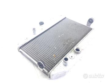 SUZUKI BURGMAN AN 400 RADIATORE ACQUA LIQUIDO RAFF