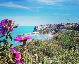 Case vacanza Puglia Gargano 3 al 10 agosto -30%