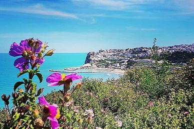 Case vacanza Puglia Gargano 3 al 10 agosto -30%