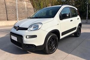 Fiat Panda 4x4 Benzina