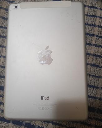 iPad mini 