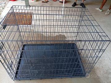 Kennel cane