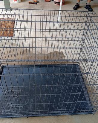 Kennel cane