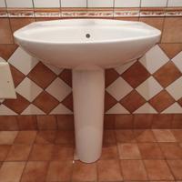 Lavandino colonnq Hatria