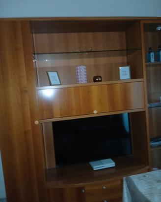 Mobile sala