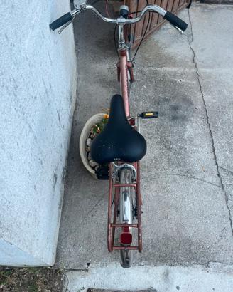 bici piegevole