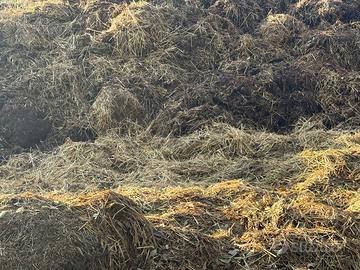 Letame di cavallo gratis