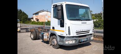 IVECO 65E16 anno 2007 a telaio passo 3105