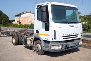 IVECO 65E16 anno 2007 a telaio passo 3105