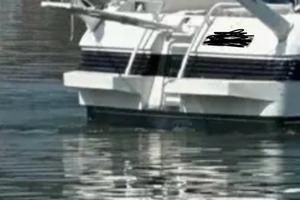 Bracci per tender passerella