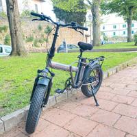 Bicicletta elettrica
