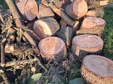 legna da ardere circa 20 quintali 