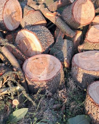 legna da ardere circa 20 quintali 