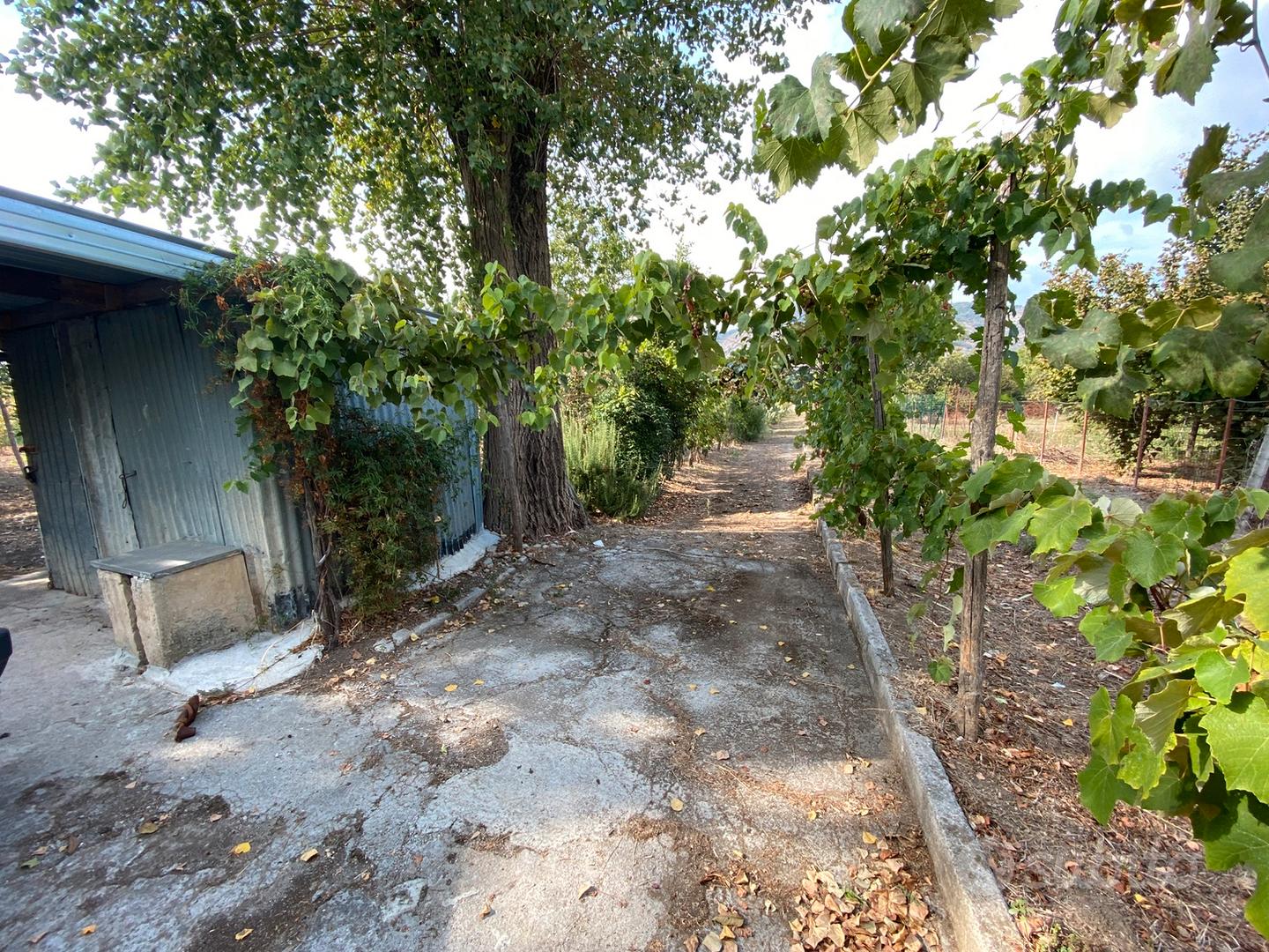 Terreno uso agricolo Spasso - Altro
