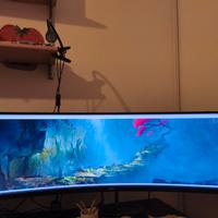 Monitor Philips 49' UltraWide, come nuovo