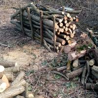 legna da ardere Tutta Gagia /rubinia 