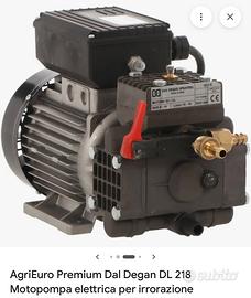 Motopompa elettrica Dal Degan DL 218 professionale