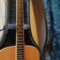 custodia rigida e  chitarra amplificabile