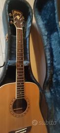 custodia rigida e  chitarra amplificabile