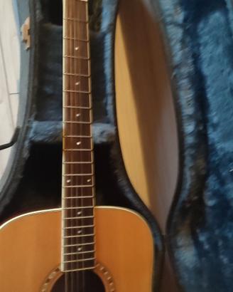custodia rigida e  chitarra amplificabile