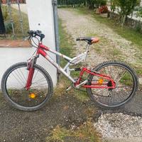 Mountain Bike Maxima
