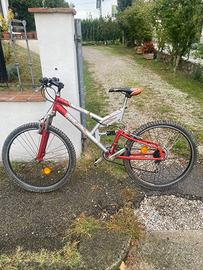 Mountain Bike Maxima