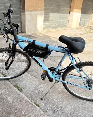 Bicicletta