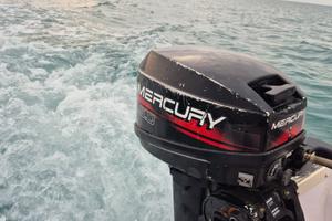 Motore fuoribordo 6 cv Mercury