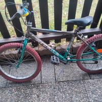 Mountain bike raggio 20 pollici