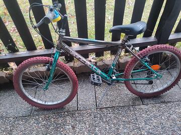 Mountain bike raggio 20 pollici