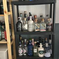 Bottiglie gin