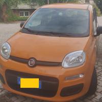 Fiat Panda 1.0 Hybrid (2021) - 5 Posti - Gomme 4S