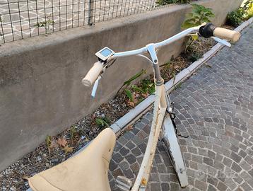 Bici elettrica
