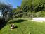 Immagine 12