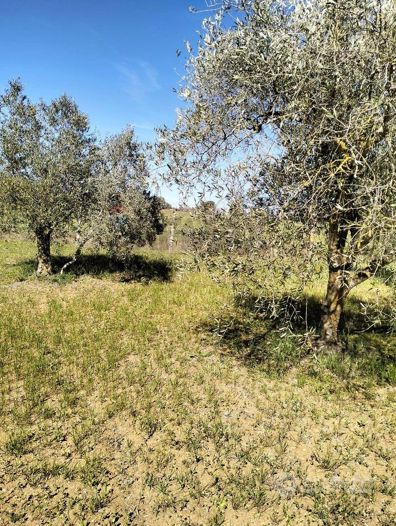 Terreno - Caltagirone - Altro