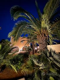 Villa indipendente con giardino