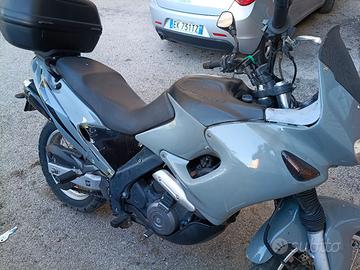 pegaso 