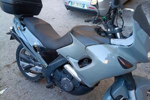 pegaso 